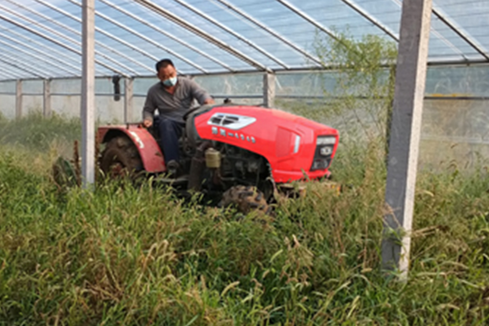 悍沃“温室大王”助力寿光优质蔬菜增产增收